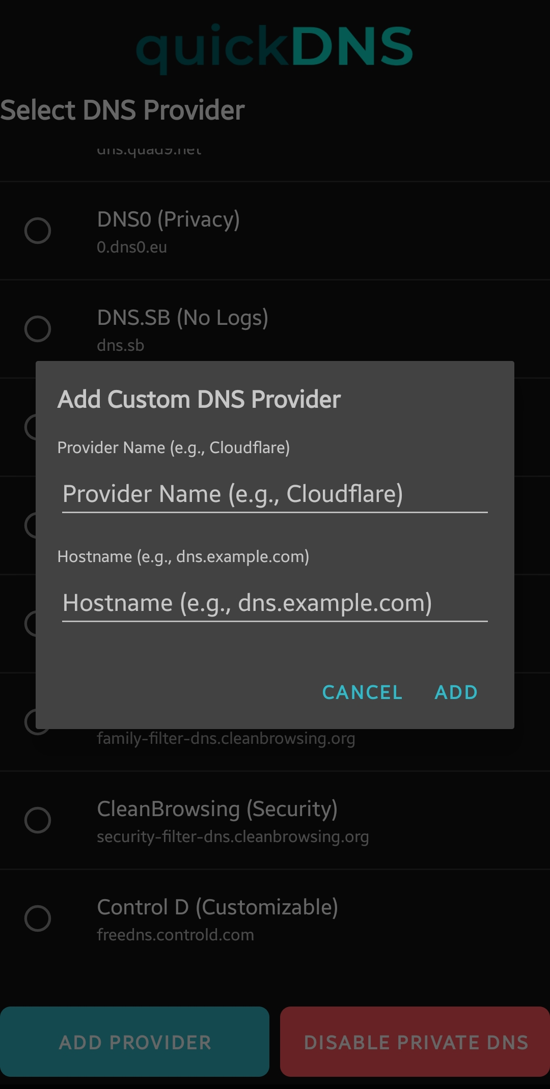 Add custom DNS provider dialog